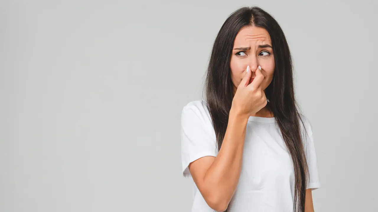 Puzza di pipì sul divano? Ecco l’unico metodo che elimina l’odore all’istante e igienizza