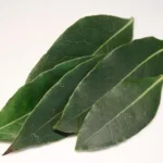 Metti le foglie d’alloro in casa: ecco il trucco naturale per profumare e purificare l’aria