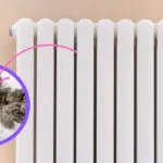 Come pulire i termosifoni in ghisa pieni di polvere: l’accessorio che arriva ovunque