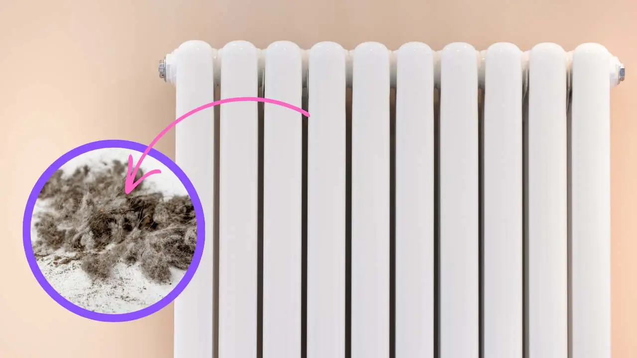 Come pulire i termosifoni in ghisa pieni di polvere: l’accessorio che arriva ovunque