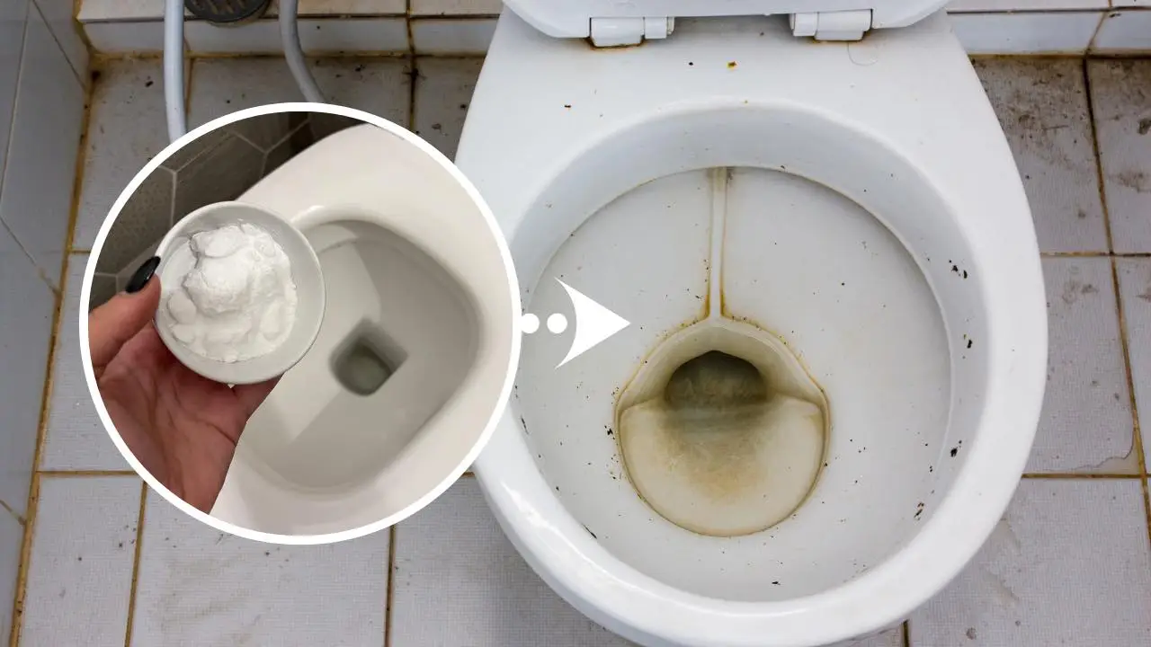 Plastica del water ingiallita: ecco il trucco definitivo per farla tornare bianca senza fatica