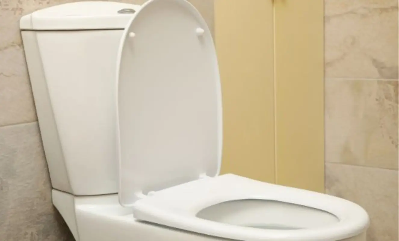 Non tirare l’acqua del wc con il coperchio aperto