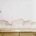 Perché il muro si macchia in basso? Il segno dell’umidità nascosta